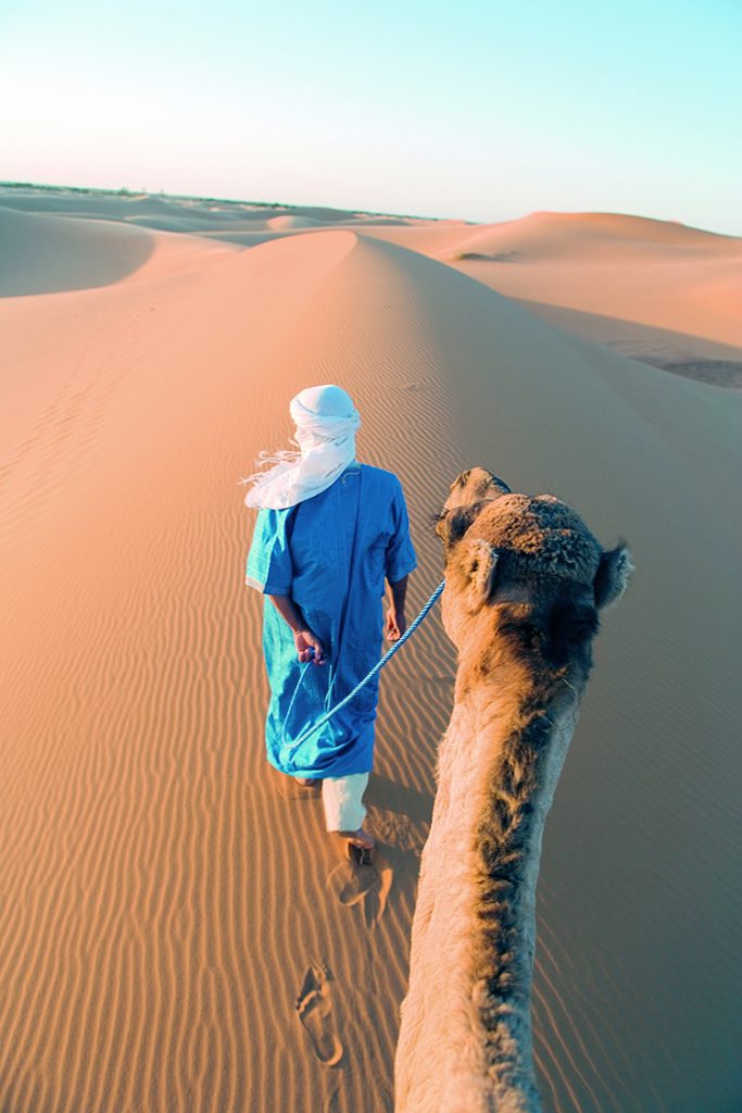 Berber man walking with his camel, Erg Chebbi, Sahara Desert, Me