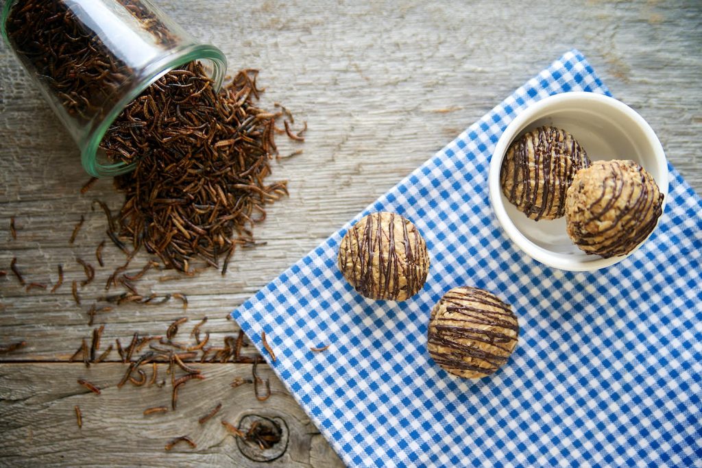 Mealworm protein balls