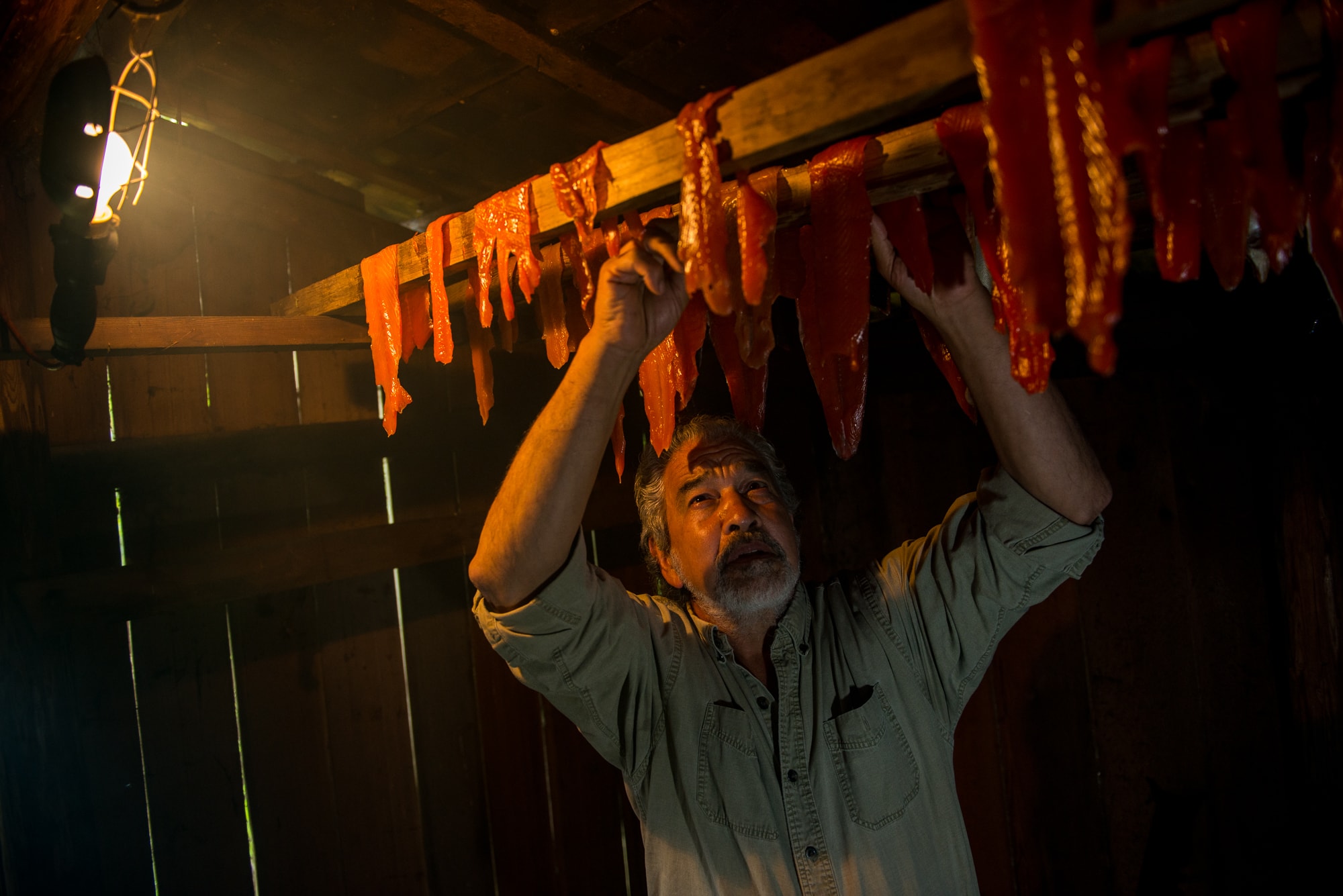 The man known as Guujaaw, the former president of the Council of the Haida Nation, lays chinook salmon over the rafters of his smokehouse in Skidegate, a community on British Columbia’s Haida Gwaii archipelago. 
